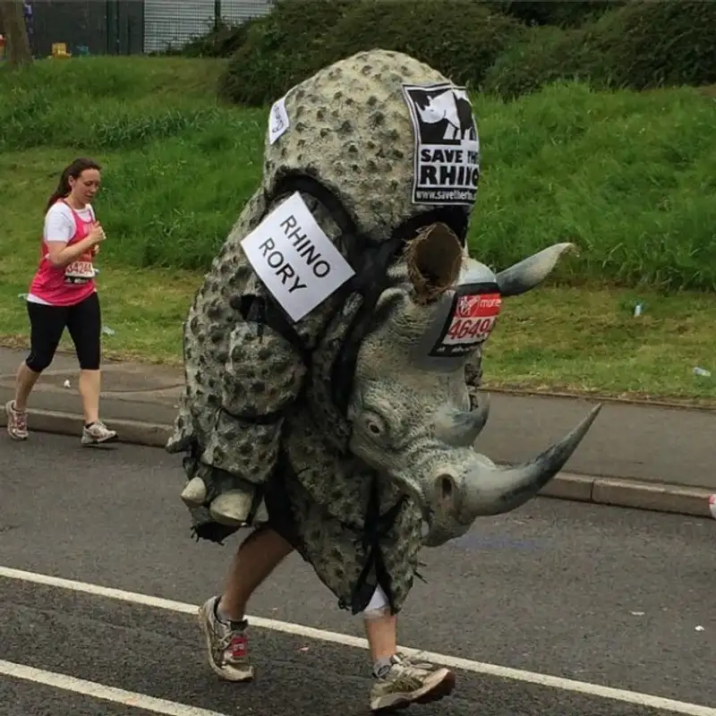 Носорог Рори, фото - Новости Zakon.kz от 27.04.2015 14:30