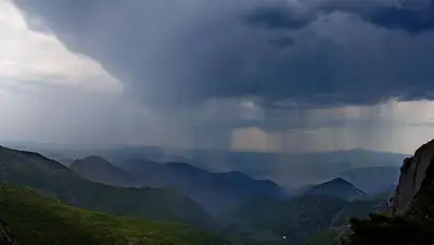 Википедия, фото - Новости Zakon.kz от 12.06.2019 09:03