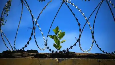 pixabay.com, фото - Новости Zakon.kz от 12.05.2021 23:39