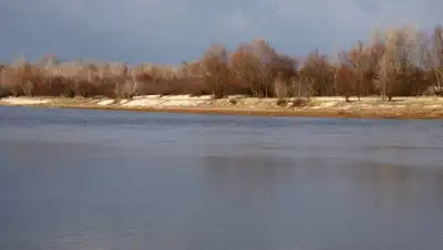 tOrange.biz, фото - Новости Zakon.kz от 02.04.2019 16:47