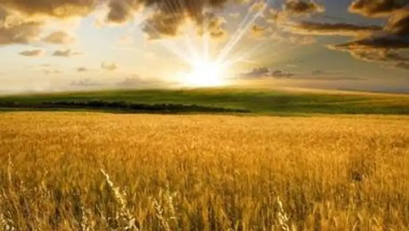 В ЗКО крестьяне просят упростить получение кредитов