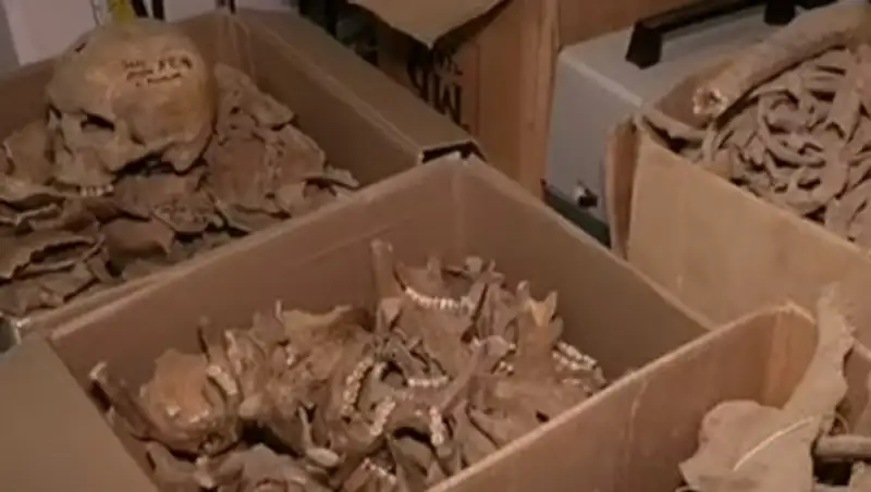 Простреленные черепа нашли во дворе дома в Алматинской области