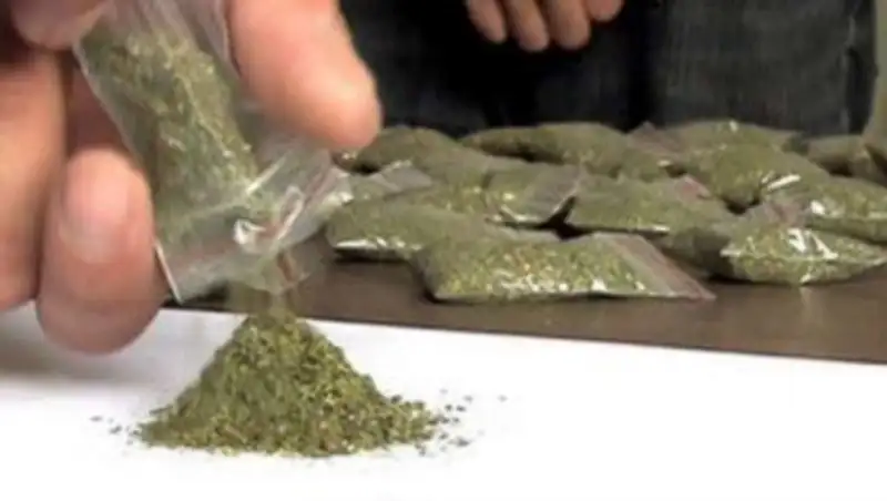 В Акмолинской области перекрыт канал поставки наркотиков