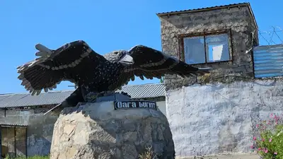 колония, ПЛС, Черный беркут, фото - Новости Zakon.kz от 18.08.2023 18:35