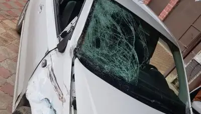 ДВД Алматы, фото - Новости Zakon.kz от 17.07.2018 17:51