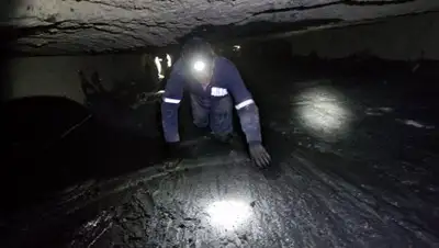 ru.sputniknews.kz, фото - Новости Zakon.kz от 12.12.2017 20:38