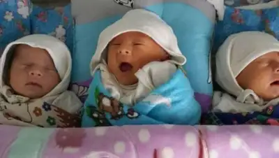 Zakon.kz, фото - Новости Zakon.kz от 28.12.2017 14:52