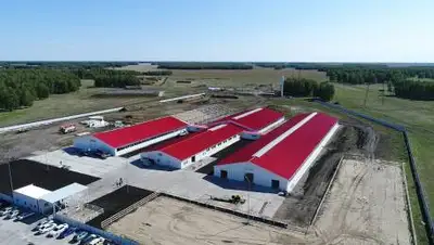 пресс-служба, фото - Новости Zakon.kz от 20.11.2020 09:50