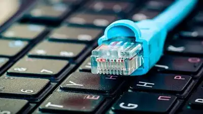 svoi.city, фото - Новости Zakon.kz от 08.06.2021 18:25