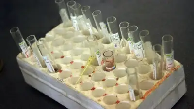 Zakon.kz, фото - Новости Zakon.kz от 28.11.2015 07:26