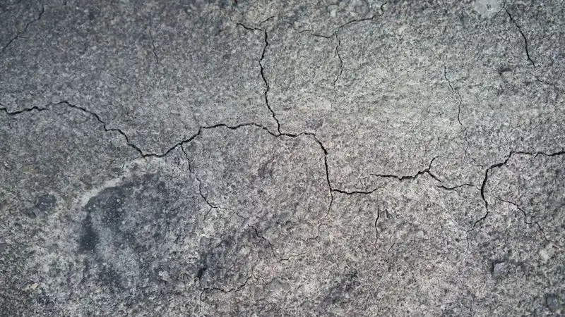 Спасатели рассказали, как вести себя при землетрясении