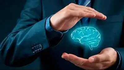 OffshoreWealth.info, фото - Новости Zakon.kz от 22.06.2018 11:18