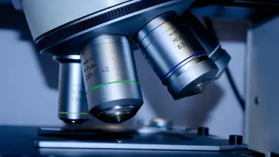 pxhere.com, фото - Новости Zakon.kz от 04.04.2020 10:43