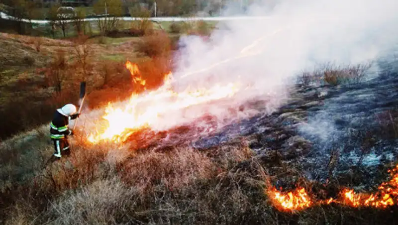 Площадь пожара в Чернобыльской зоне отчуждения увеличилась втрое