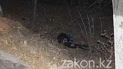 Zakon.kz, фото - Новости Zakon.kz от 12.11.2013 17:40