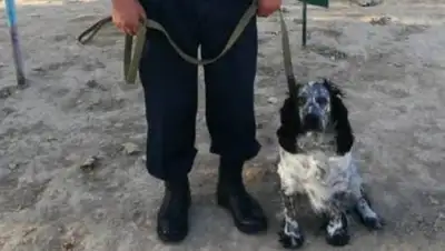 zakon.kz., фото - Новости Zakon.kz от 03.10.2020 09:20