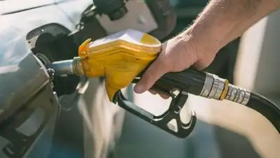 kcdn.kz, фото - Новости Zakon.kz от 19.04.2021 16:37