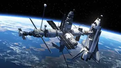 Divine, фото - Новости Zakon.kz от 02.07.2020 12:41