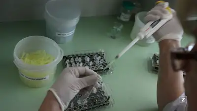 исследование, фото - Новости Zakon.kz от 28.12.2021 08:01