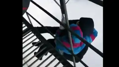 Фото: кадр из видео, фото - Новости Zakon.kz от 25.12.2017 17:01