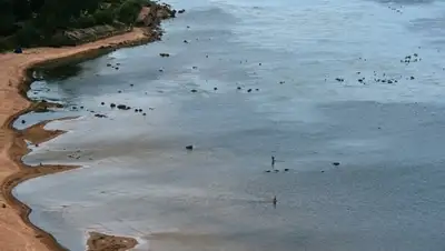 Zakon.kz, фото - Новости Zakon.kz от 12.06.2015 16:42