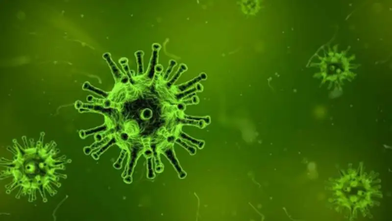 Министерство торговли и интеграции дало рекомендации для защиты здоровья граждан