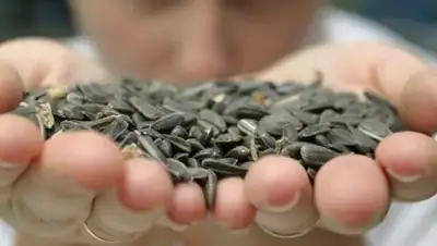 Zakon.kz, фото - Новости Zakon.kz от 21.06.2016 21:24