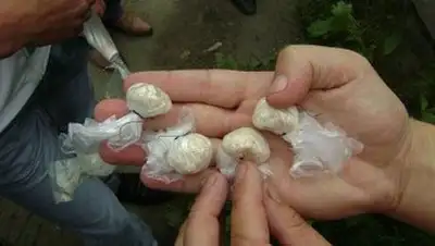 Zakon.kz, фото - Новости Zakon.kz от 25.02.2014 22:21