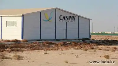 Zakon.kz, фото - Новости Zakon.kz от 06.11.2013 23:35