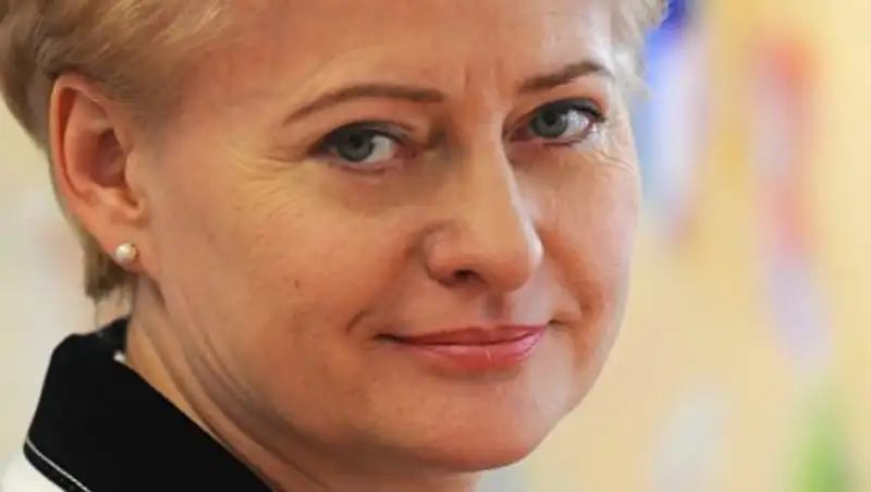 Президент Литвы заявила, что Евросоюз не готовится к созданию единой армии