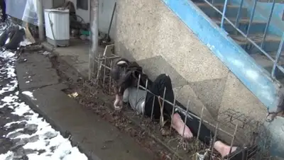 Zakon.kz, фото - Новости Zakon.kz от 08.12.2014 16:15