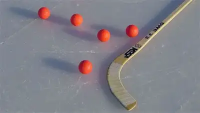 Zakon.kz, фото - Новости Zakon.kz от 28.01.2014 01:20