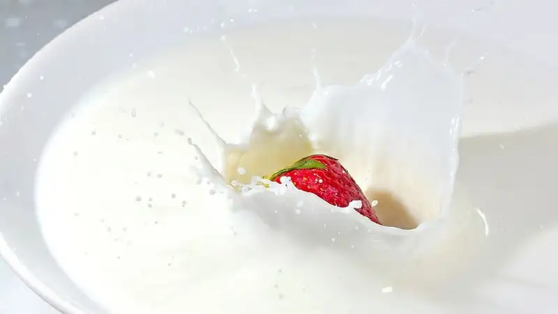 Диетолог раскрыла опасность обезжиренных продуктов