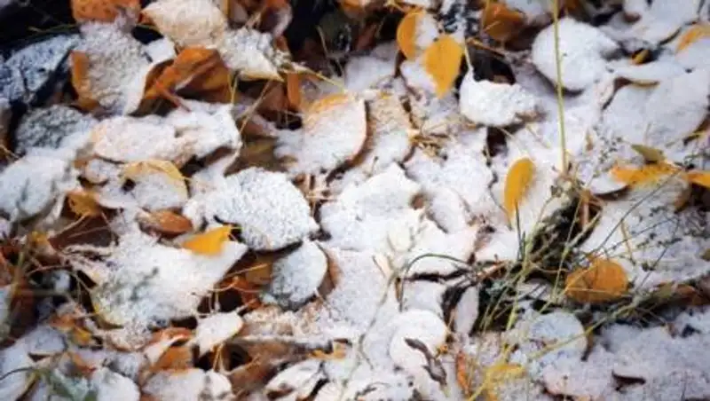 Метель и гололед ожидают казахстанцев в выходные
