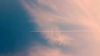 pixabay, фото - Новости Zakon.kz от 08.11.2021 23:28