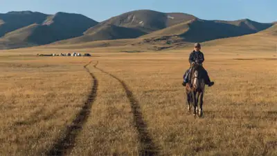 Zakon.kz, фото - Новости Zakon.kz от 20.11.2014 22:01