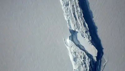 Zakon.kz, фото - Новости Zakon.kz от 02.08.2017 18:48