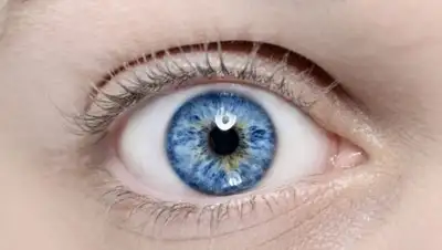 из открытых источников, фото - Новости Zakon.kz от 04.02.2019 18:21