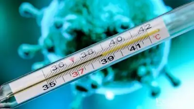 Zakon.kz, фото - Новости Zakon.kz от 07.02.2017 15:49