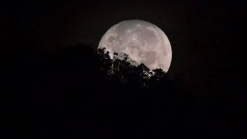 Космическая компания анонсировала полет двух туристов к Луне в 2018 году