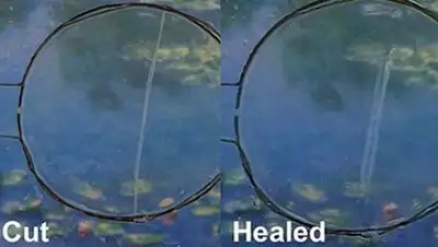 Zakon.kz, фото - Новости Zakon.kz от 05.04.2017 15:20