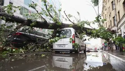 ТВ Центр, фото - Новости Zakon.kz от 31.05.2018 17:28