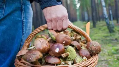 Aif.md, фото - Новости Zakon.kz от 22.05.2018 10:17