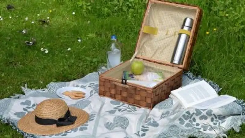 Как можно пострадать на пикнике