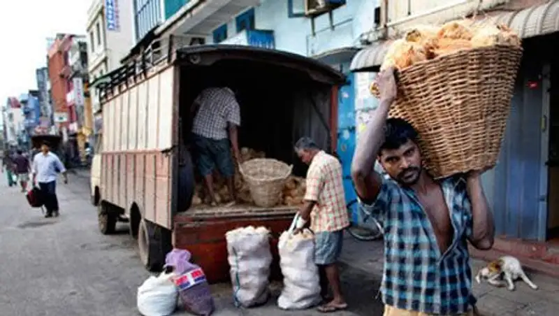 В автобусах на Шри-Ланке выделили места для «беременных собак»