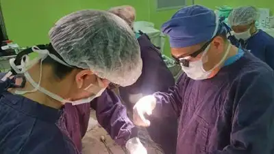 ННОЦ, фото - Новости Zakon.kz от 02.12.2020 15:16