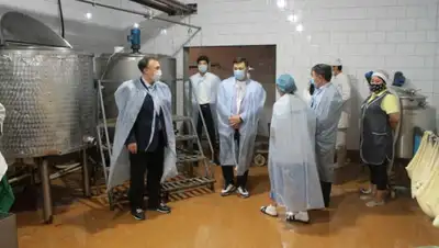 Пресс-служба Мажилиса, фото - Новости Zakon.kz от 06.08.2020 10:40