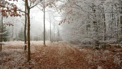 штормовое предупреждение, фото - Новости Zakon.kz от 05.11.2022 17:08