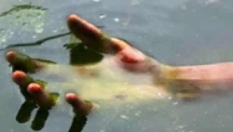 Тело убитого мужчины обнаружено в реке в Кокшетау