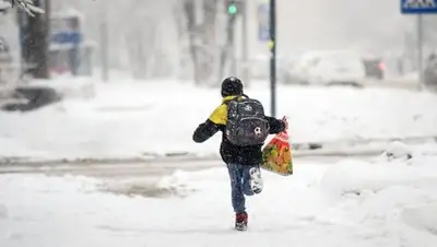 inbusiness.kz, фото - Новости Zakon.kz от 11.02.2020 12:43